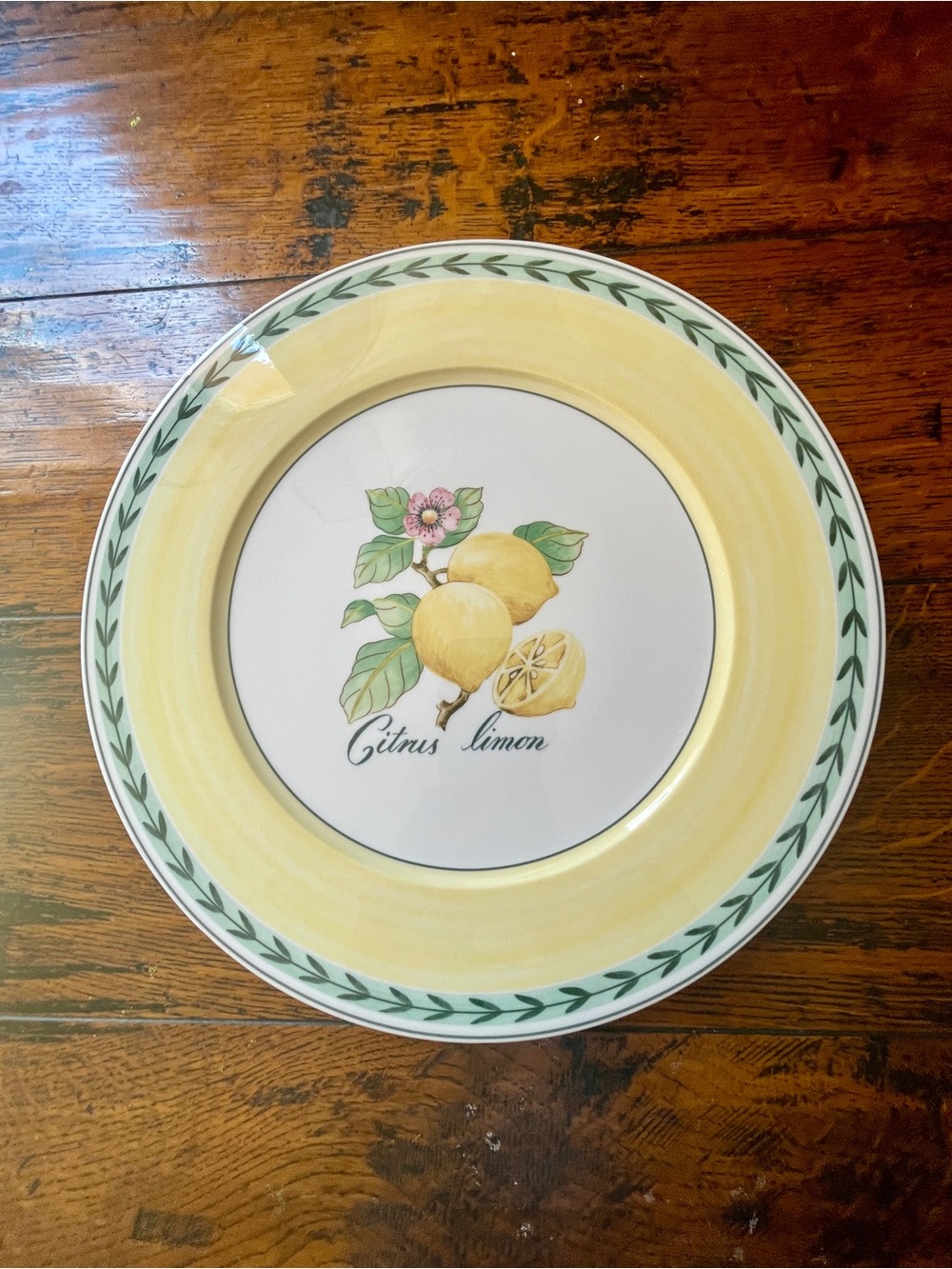 Villeroy & Boch French Garden Fleurence Buffet Platter Green /Citrus